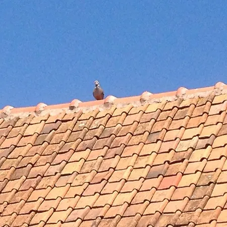 Domaine De Collen Bed & Breakfast Wailly-Beaucamp