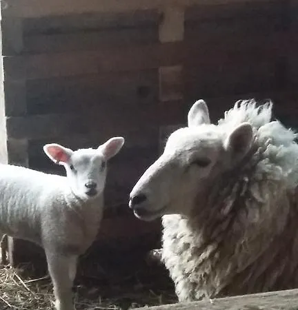 Domaine De Collen 3* Lépine